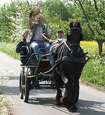 4374_2.jpg (72900 Byte)