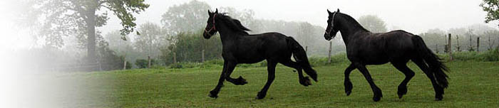 00248_titel.jpg (23433 Byte)