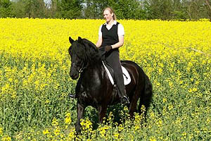 3943_200.jpg (79071 Byte)