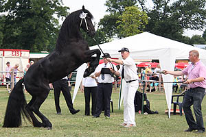 IMG_6678.jpg (52709 Byte)