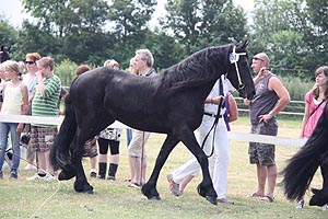 IMG_6798.jpg (52539 Byte)