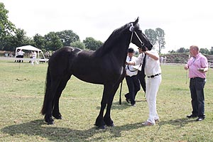 IMG_6860.jpg (42627 Byte)