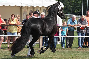 IMG_6872.jpg (49970 Byte)