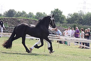 IMG_6883.jpg (44910 Byte)