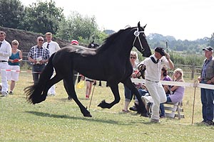 IMG_6886.jpg (46511 Byte)