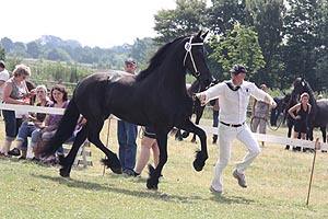 IMG_6887.jpg (48532 Byte)