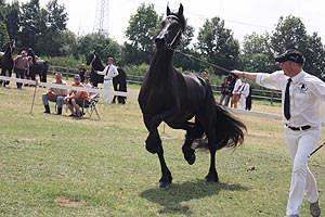 IMG_6890.jpg (49221 Byte)