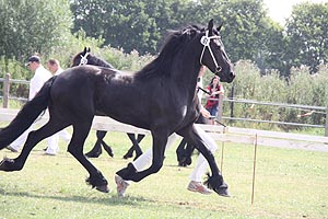 IMG_6900.jpg (49466 Byte)