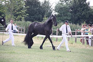 IMG_6921.jpg (47885 Byte)
