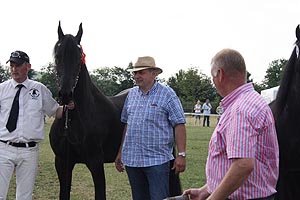 IMG_6931.jpg (39338 Byte)