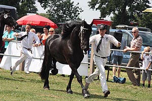 IMG_6948.jpg (57757 Byte)
