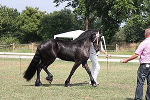 IMG_6965.jpg (52128 Byte)