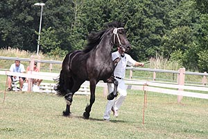IMG_7019.jpg (51002 Byte)