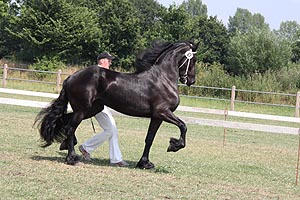 IMG_7028.jpg (50277 Byte)