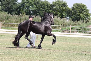 IMG_7072.jpg (51272 Byte)