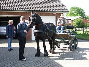 4324.jpg (78822 Byte)