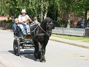 4327.jpg (77736 Byte)