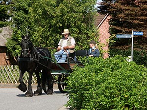 4331.jpg (83284 Byte)