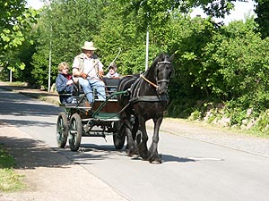 4340.jpg (80535 Byte)