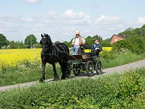 4352.jpg (75215 Byte)