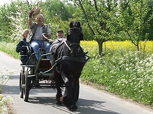 4374.jpg (82417 Byte)