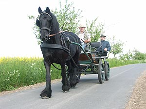 4398.jpg (65278 Byte)