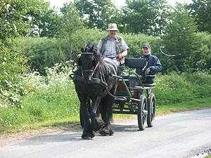 4406.jpg (78866 Byte)