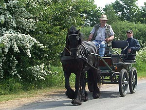 4407.jpg (76003 Byte)