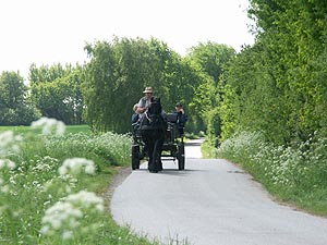 4426.jpg (70323 Byte)