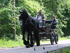 4436.jpg (85995 Byte)