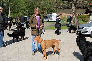 IMG_0311.jpg (56438 Byte)