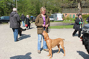 IMG_0312.jpg (56086 Byte)