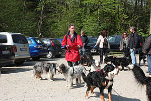 IMG_0326.jpg (59116 Byte)