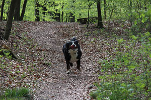 IMG_0353.jpg (67675 Byte)