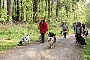 IMG_0358.jpg (63657 Byte)