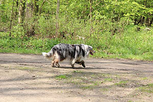IMG_0361.jpg (59269 Byte)