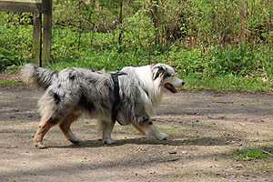 IMG_0362.jpg (56087 Byte)
