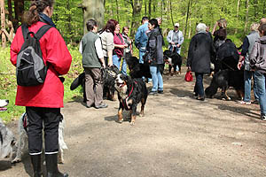 IMG_0363.jpg (59345 Byte)