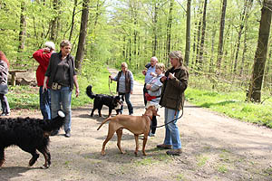 IMG_0364.jpg (62188 Byte)