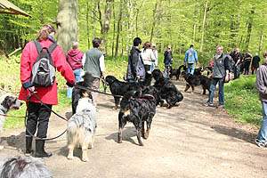 IMG_0366.jpg (62709 Byte)