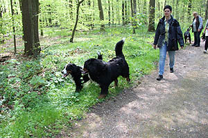 IMG_0369.jpg (64232 Byte)