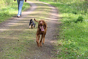 IMG_0382.jpg (54110 Byte)