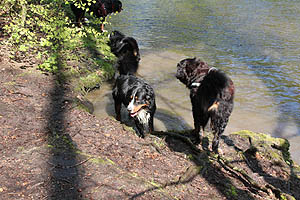 IMG_0407.jpg (59964 Byte)