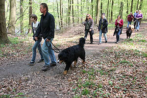 IMG_0427.jpg (69226 Byte)