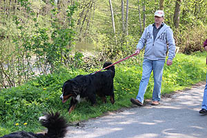 IMG_0432.jpg (64010 Byte)