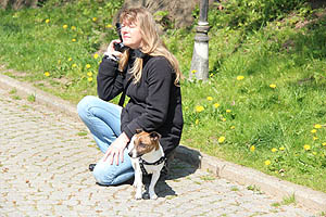 IMG_0436.jpg (59104 Byte)
