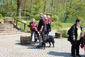 IMG_0438.jpg (65879 Byte)