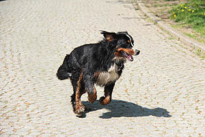 IMG_0442.jpg (48194 Byte)