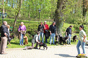 IMG_0447.jpg (70082 Byte)