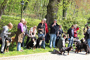 IMG_0449.jpg (71119 Byte)